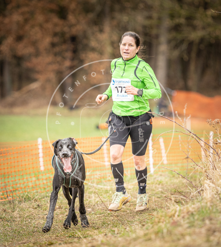 DV3A2317 | Hundefotografie, Tierfotograf, Pfotenfotografie, Fotoshooting Hund, Hunde Portrait, Hundesport, Hundeportraits, Heideshooting, Hunde, Sportfotograf, Hundefotograf, Turnierhundsport, THS,  - Realisiert mit Pictrs.com