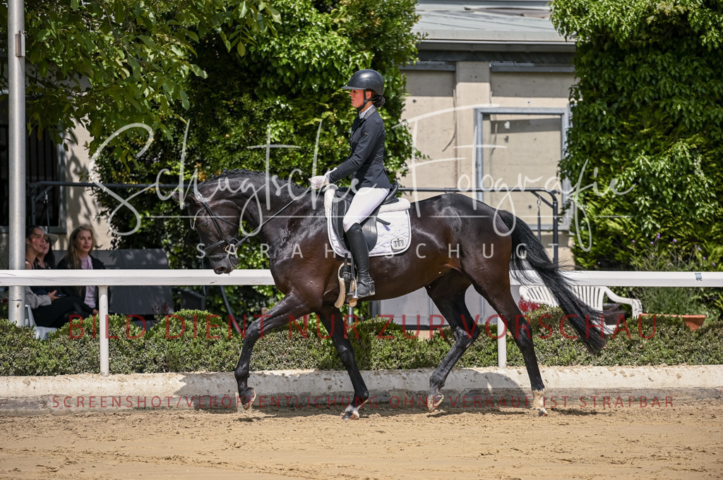 Schugtsche-Aluta25-48.Reitpferfdeprf.-187 | Schugtsche Fotografie - Realisiert mit Pictrs.com