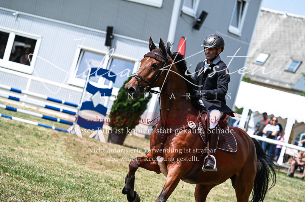 DSC_9160 | Pferde- und Turnierfotografie in Westsachsen. Pferdeportraits, Auftragszeichnungen und intuitive Kunst.