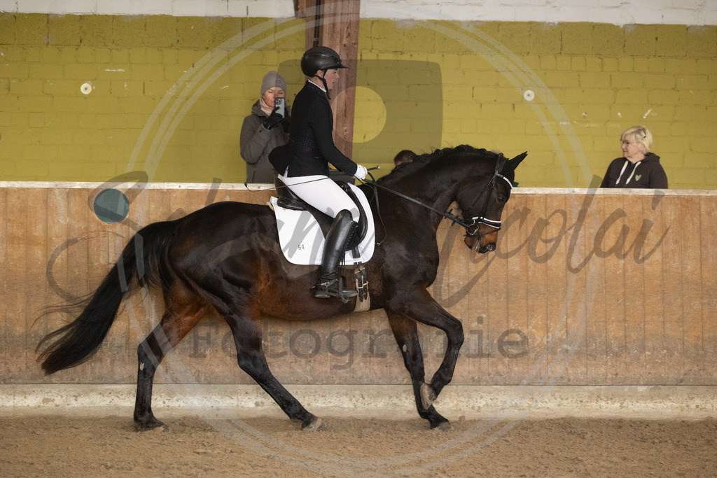 994A9014 | sabrinanicolaifotografie - Realisiert mit Pictrs.com