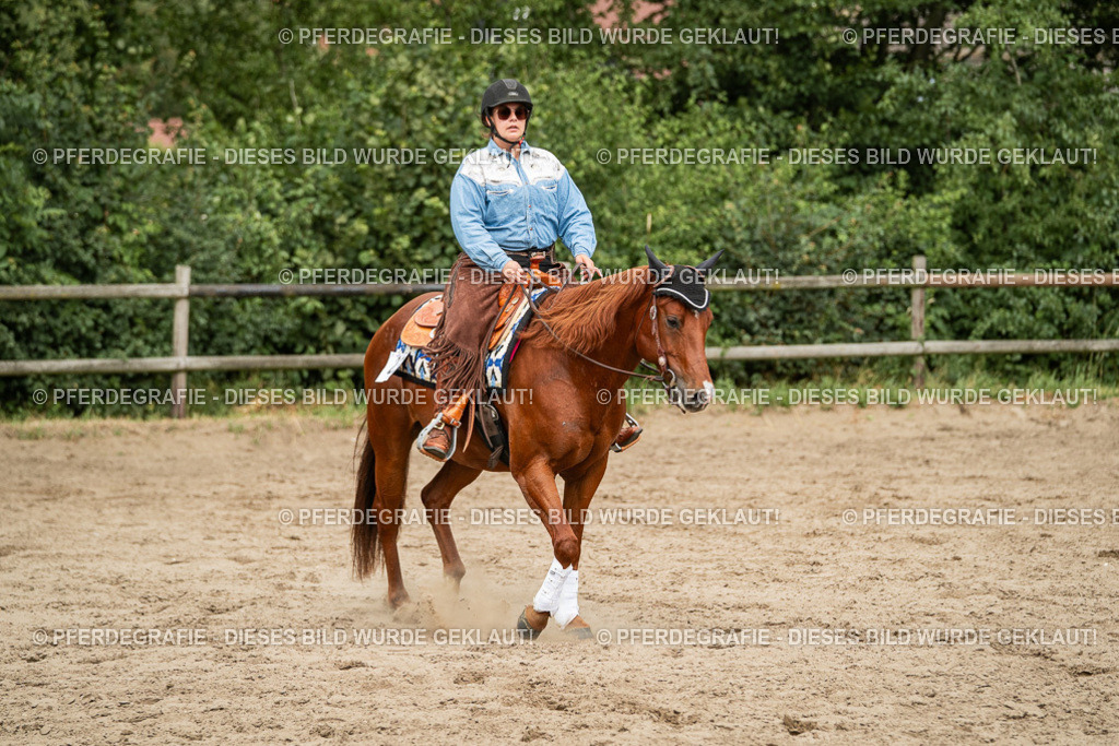 DSC03384 | Pferdegrafie