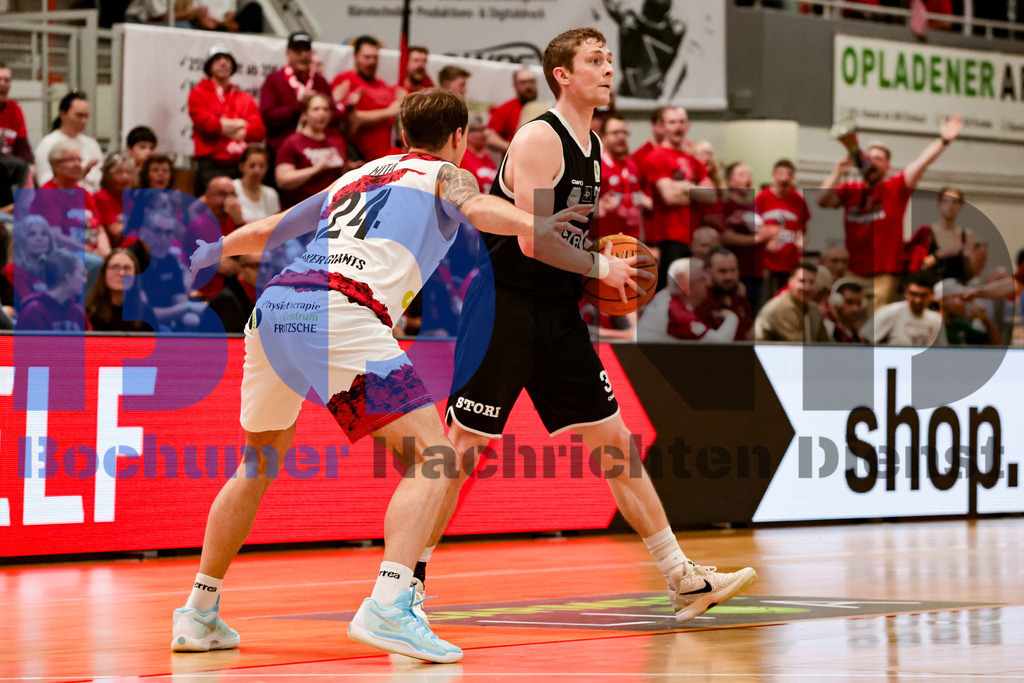 SES_LEVWOL20250525-28 | bond - Realisiert mit Pictrs.com