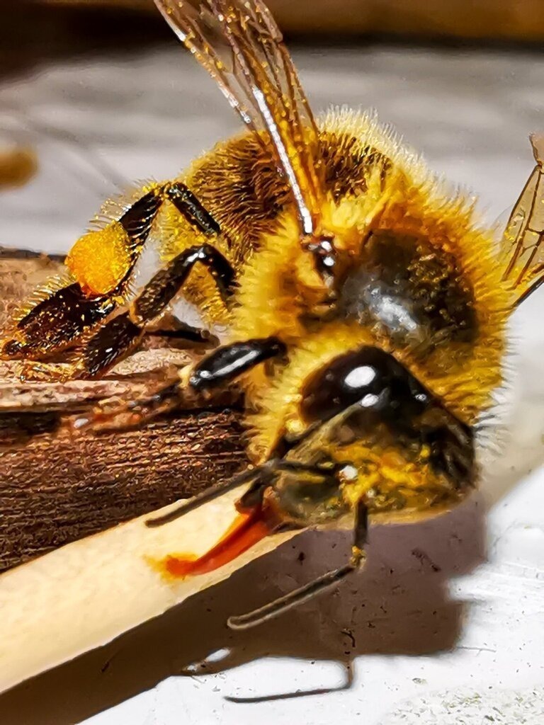 PSX_20240404_221059 | mtkfoto_ - Realisiert mit Pictrs.com