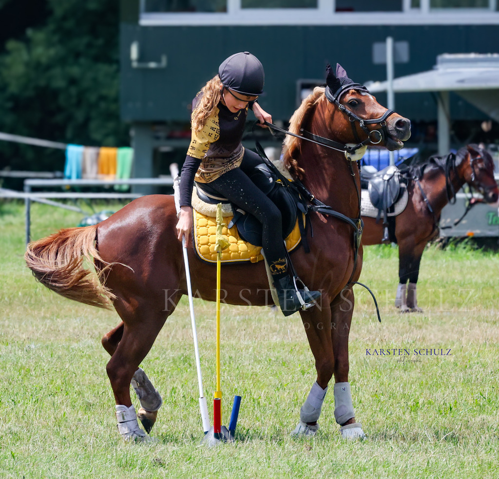 1B3A0605 | Reitsport Reiten