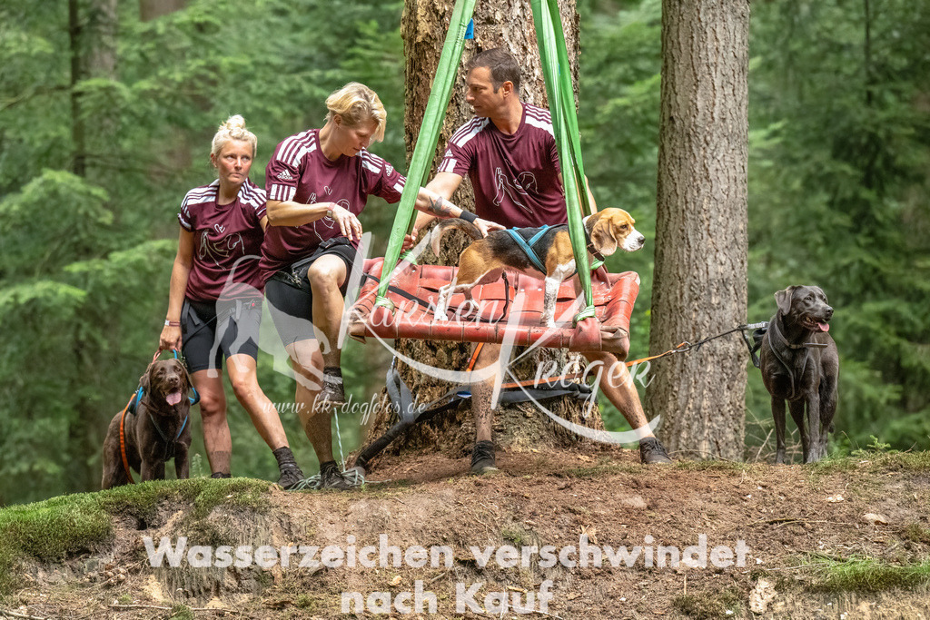 1154_ZZ90947-Bearbeitet | kk-dogfotos