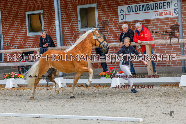 GK (564 von 759) | mandyhollmannphotographie