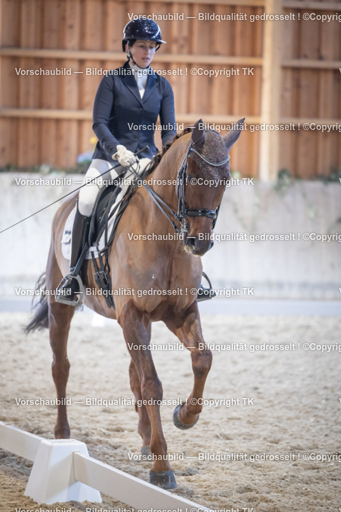 _D5A4884 | Emotionale Pferde- & People-Fotografie rund um Heidelberg, Leimen & Umgebung. Natürliche Fotos von Pferd, Mensch & Familie. Jetzt Termin sichern!