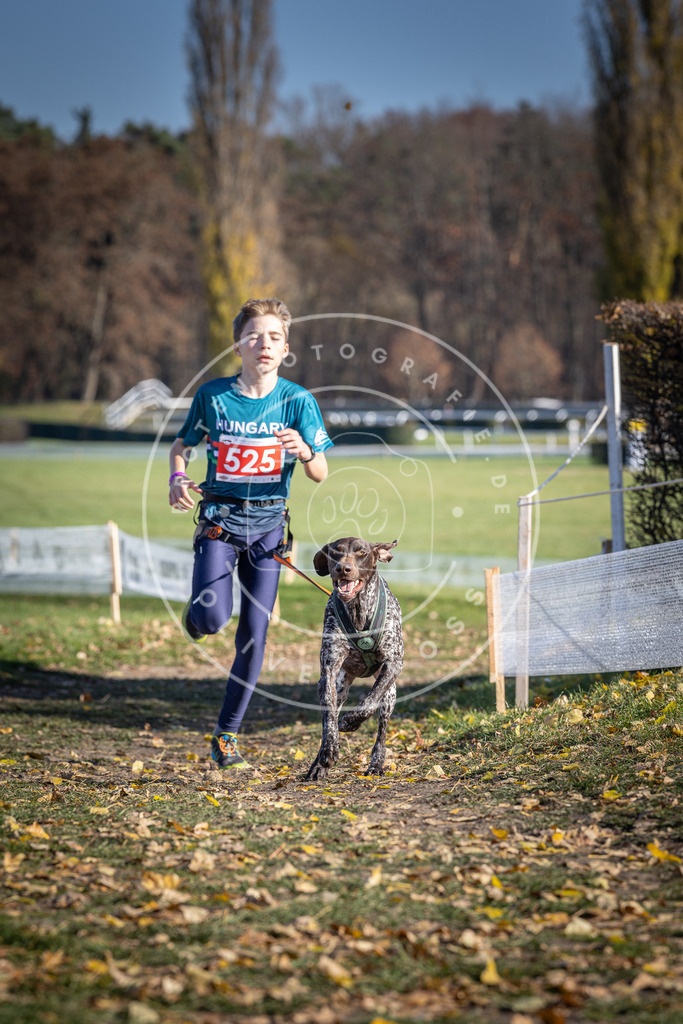 CaniXpix_DV3A8170 | Hundefotografie, Tierfotograf, Pfotenfotografie, Fotoshooting Hund, Hunde Portrait, Hundesport, Hundeportraits, Heideshooting, Hunde, Sportfotograf, Hundefotograf, Turnierhundsport, THS,  - Realisiert mit Pictrs.com