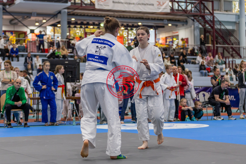 Internationaler Adler Cup 2024 | Foto vom Internationalen Adler Cup Judo Turnier im Sport- und Freizeitzentrum Kalbach im Oktober 2024 - Realisiert mit Pictrs.com