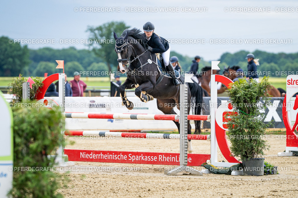 DSC04517 | Pferdegrafie