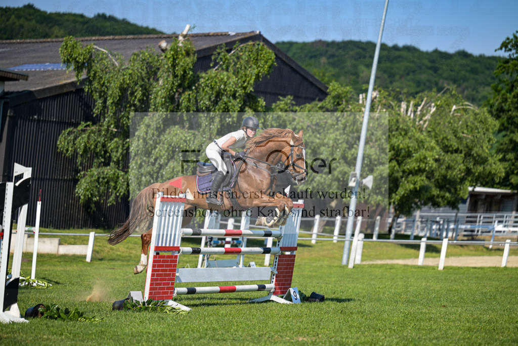 Reitturnier Voxtrup | Entdecke hochwertige Reitturnierfotos von Foto Oger. Professionell, emotional und authentisch – jetzt Lieblingsmomente im Shop bestellen. - Realisiert mit Pictrs.com
