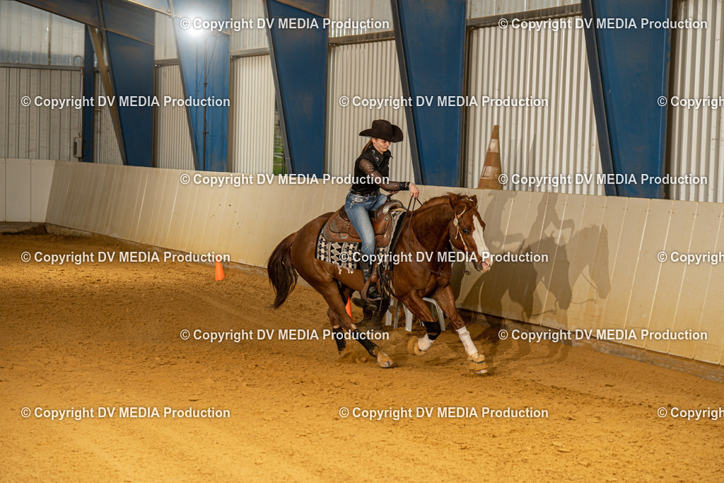 MIT00575 | dv-media-shop - Realisiert mit Pictrs.com