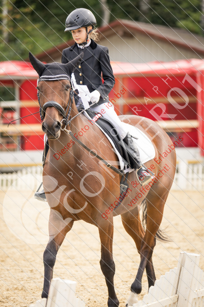 CON_0413 | Sport-, Event- und Tierfotos in Profiqualität. Einfach auswählen, bestellen und herunterladen. Dein Moment – perfekt festgehalten.