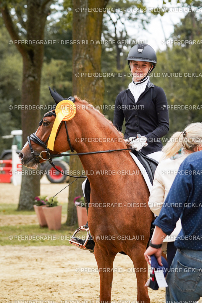 DSC06203 | Pferdegrafie