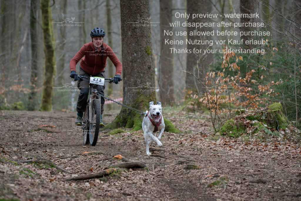 Bike_So-151 | stephaniefillaphotographie - Realisiert mit Pictrs.com