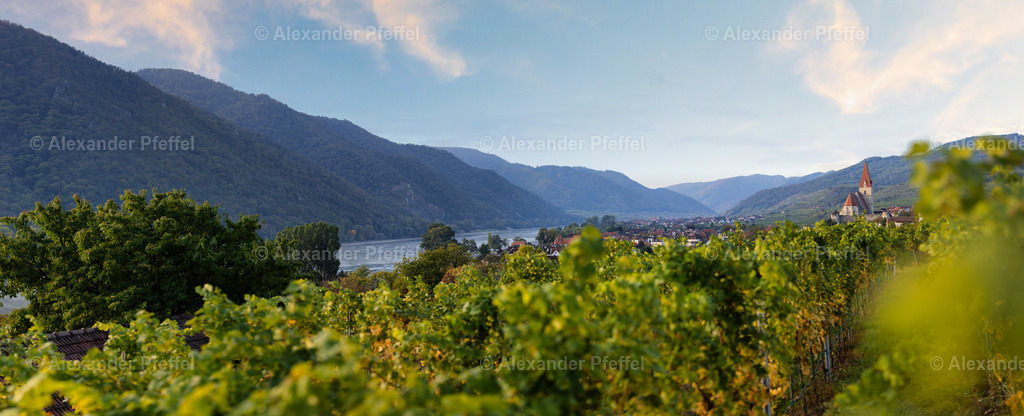 foto_c_pfeffel-partner-0061-R52_0060-Pano-Bearbeitet | alexander-pfeffel - Realisiert mit Pictrs.com