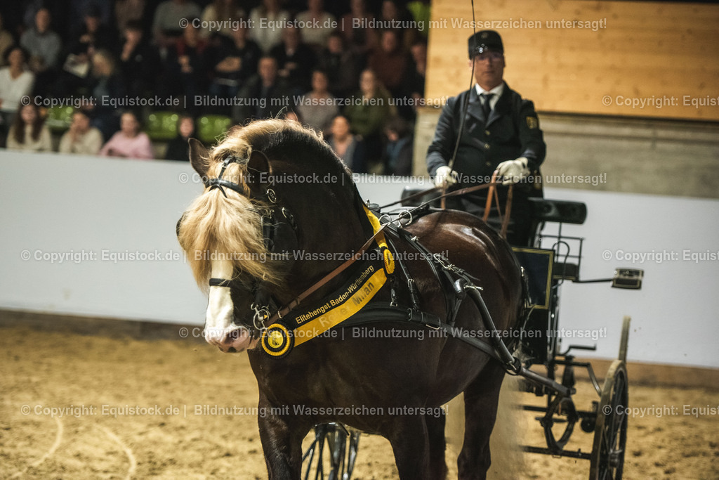20240302_Hengstvorstellung_Marbach_TOMsPiC_0645 | equistock