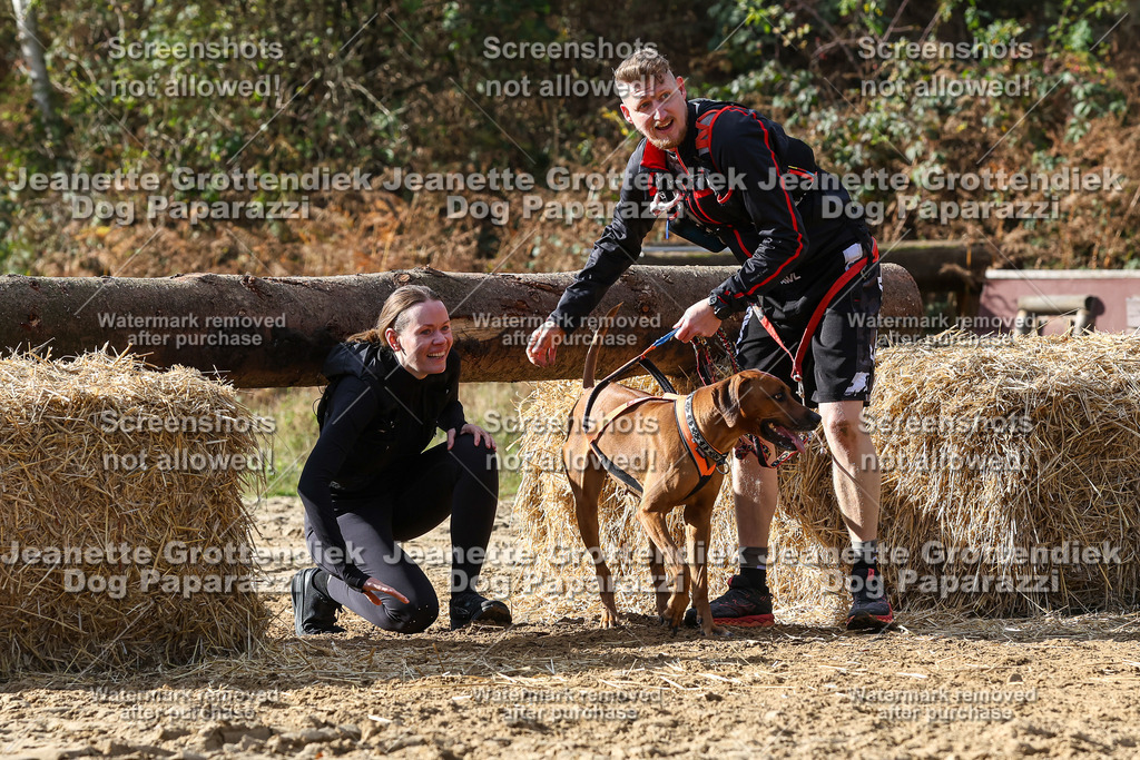 Dog Paparazzi - Strongdog 10-25-5334 | Dog Paparazzi Jeanette Grottendiek Fotografie & Videografie - Realisiert mit Pictrs.com