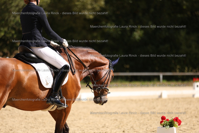 HG9A2498 | laurarinckfotografie - Realisiert mit Pictrs.com
