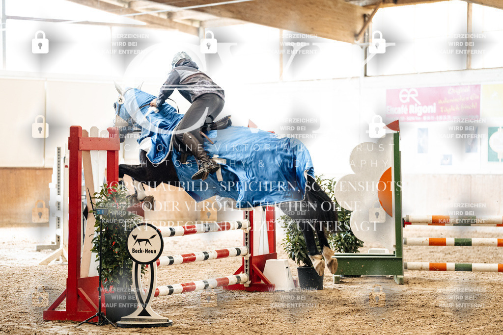 CK905425 | Turnierfotografie Pferdefotografie Trier Rheinland-Pfalz Pferdesport Reitsport Tierfotografie Sportfotografie Pferdevideo Pferdevideografie Equestrianvideography equestrianphotography  - Realisiert mit Pictrs.com