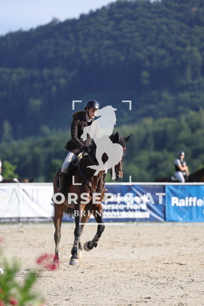 0P6A6650 | Willkommen bei Brunnmayr - Design & Fotografie – Ihrem Spezialisten für Reitturniere und Pferdeveranstaltungen in Oberösterreich, Salzburg und Bayern! Seit über 17 Jahren sind wir leidenschaftlich dabei.