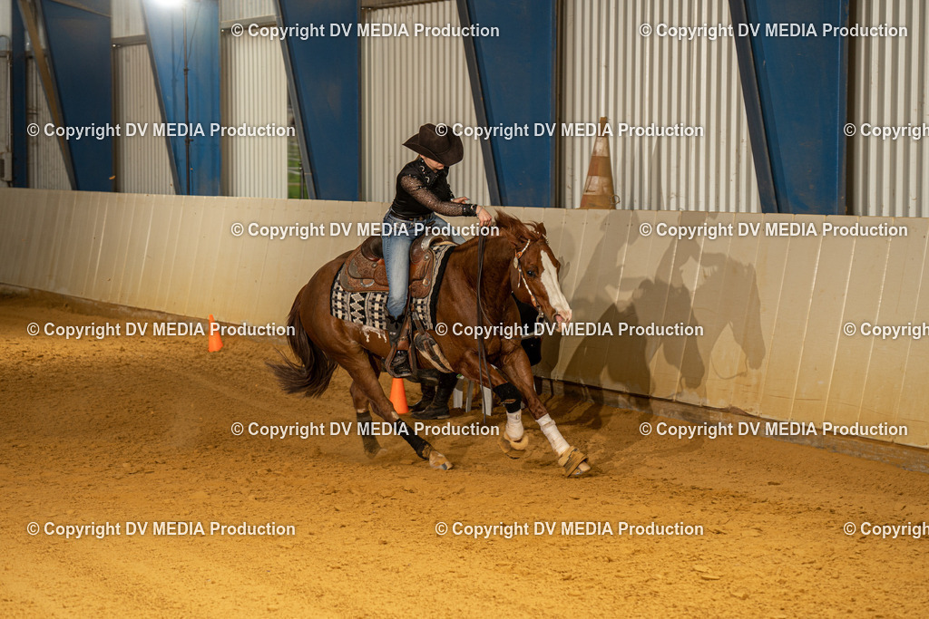 MIT00580 | dv-media-shop - Realisiert mit Pictrs.com