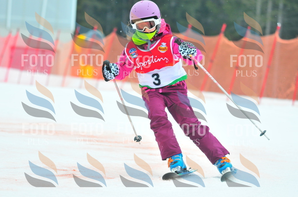 C0538 | holidayphoto