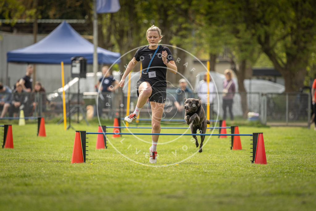 Pfotenfotografie_DV3A6100 | Hundefotografie, Tierfotograf, Pfotenfotografie, Fotoshooting Hund, Hunde Portrait, Hundesport, Hundeportraits, Heideshooting, Hunde, Sportfotograf, Hundefotograf, Turnierhundsport, THS,  - Realisiert mit Pictrs.com