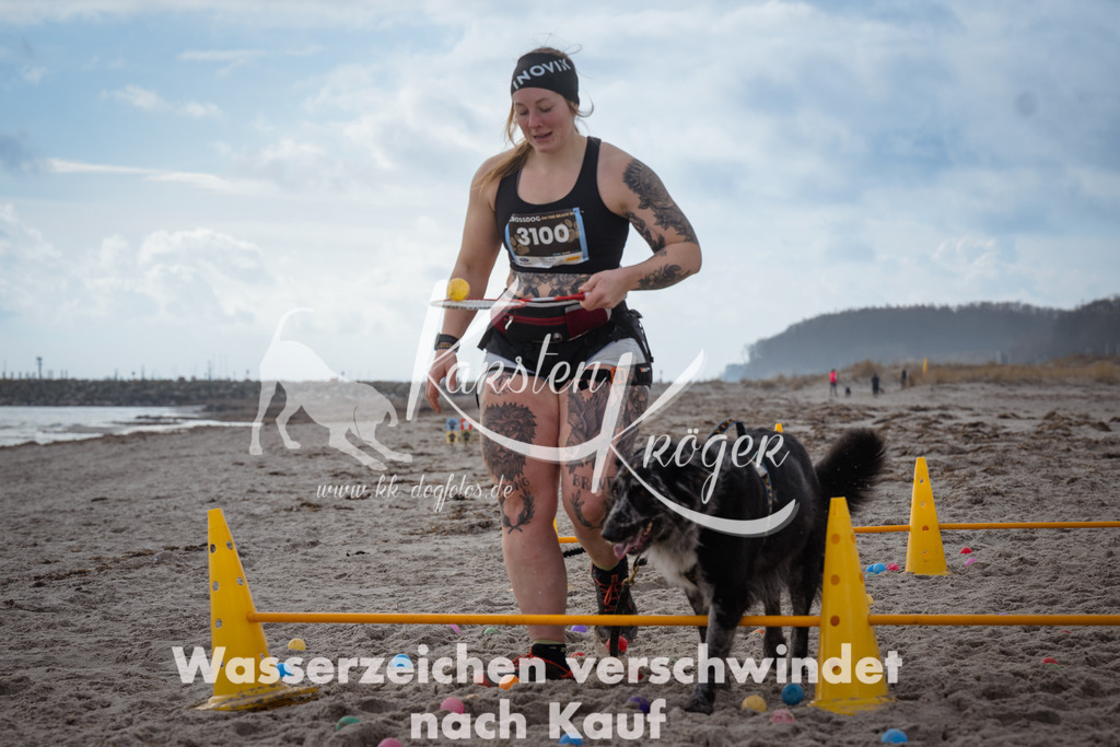 1228_ZZ96812 | kk-dogfotos