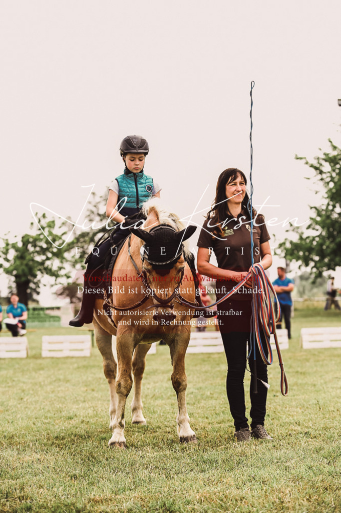 DSC_5350 | Pferde- und Turnierfotografie in Westsachsen. Pferdeportraits, Auftragszeichnungen und intuitive Kunst.