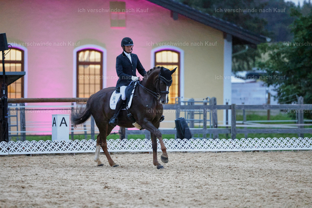 04_2-240-Dressur M__ -StoibPH-3037 | working equitationturnier fotograf videograf stoibphotography marixx film working equitation deutschland reitsport turnierfotografie eventfotografie equestrian events
