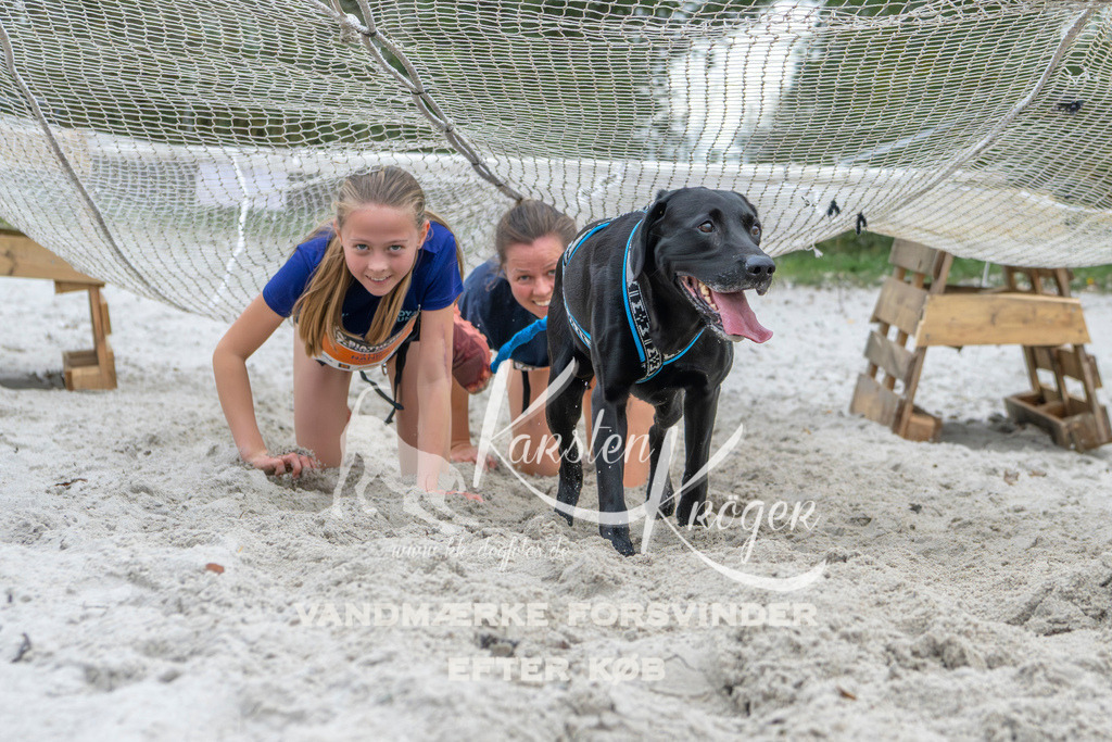 1114_ZZ95883 | kk-dogfotos
