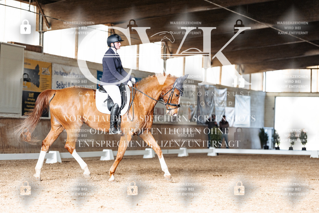 CK902781 | Turnierfotografie Pferdefotografie Trier Rheinland-Pfalz Pferdesport Reitsport Tierfotografie Sportfotografie Pferdevideo Pferdevideografie Equestrianvideography equestrianphotography  - Realisiert mit Pictrs.com