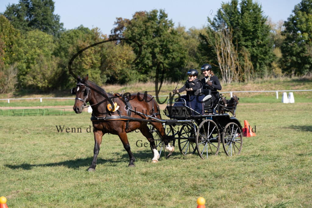 A7V04431 | Pferdefotograf