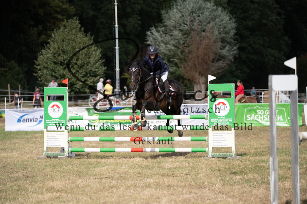 A7V09336 | Pferdefotograf