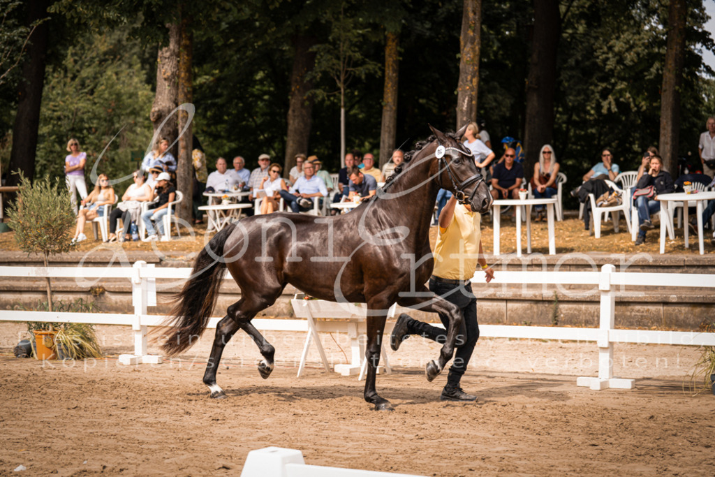 5.Fr00010 | Leoni Ertmer Photography - Realisiert mit Pictrs.com