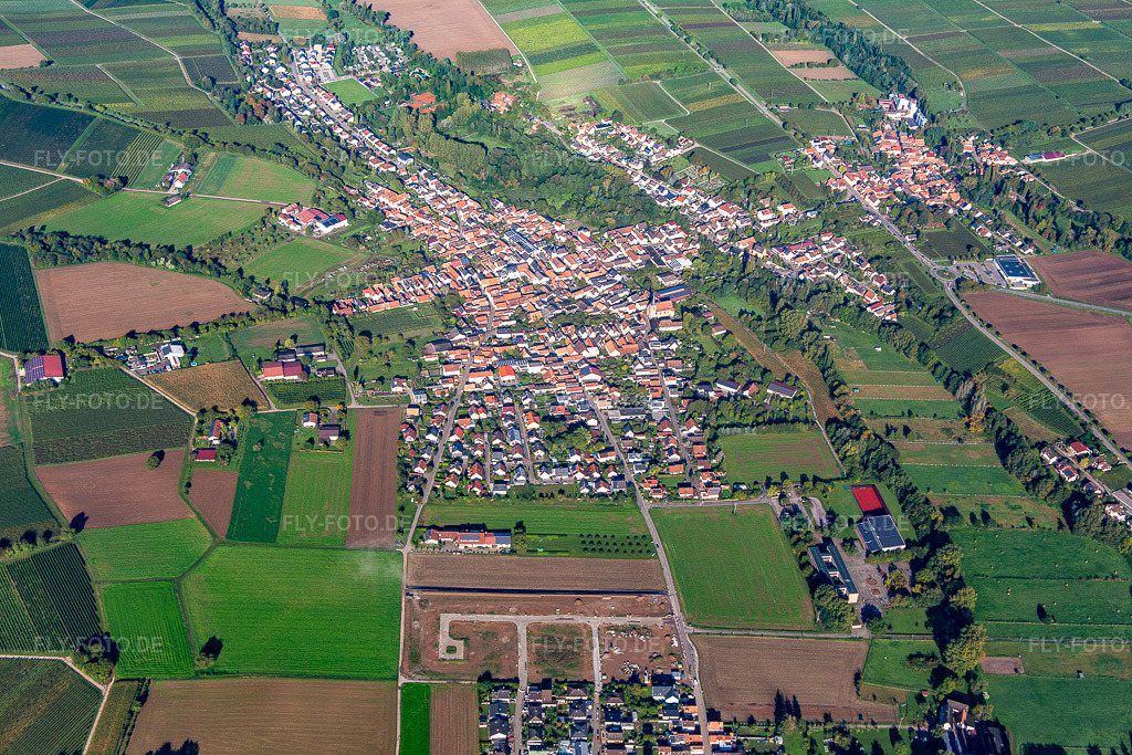 Luftbild: Ortschaft von Osten im Ortsteil Ingenheim in Billigheim-Ingenheim im Bundesland Rheinland-Pfalz in Deutschland. Foto: IMG_143541.jpg vom 29.09.2024 durch Werner Riehm/FLY-FOTO.de