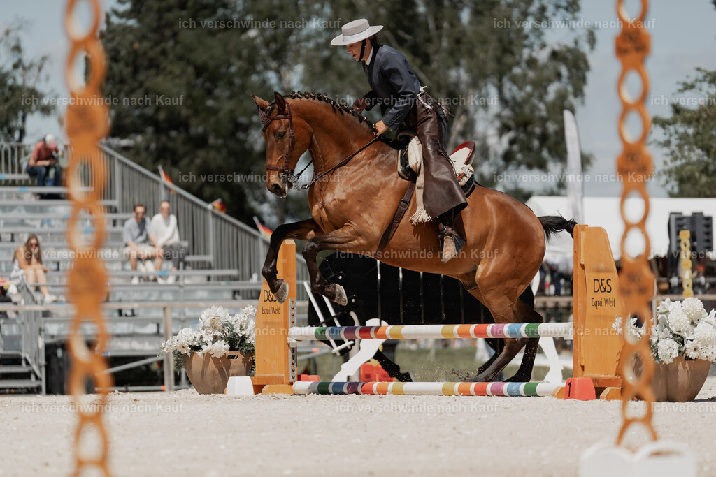 WE_ST_Stoib_313_PI2025_1299 | Pferd International München 2025