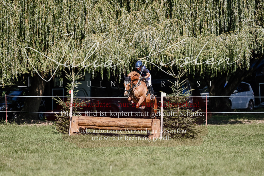 DSC_3069 | Pferde- und Turnierfotografie in Westsachsen. Pferdeportraits, Auftragszeichnungen und intuitive Kunst.