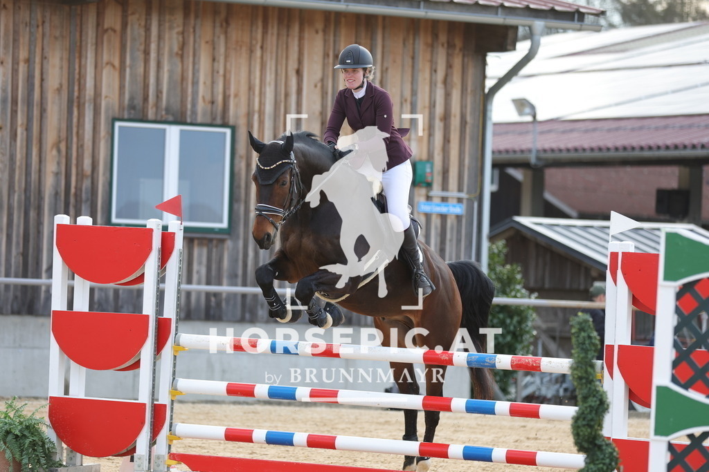 0P6A8715 | Willkommen bei Brunnmayr - Design & Fotografie – Ihrem Spezialisten für Reitturniere und Pferdeveranstaltungen in Oberösterreich, Salzburg und Bayern! Seit über 17 Jahren sind wir leidenschaftlich dabei.
