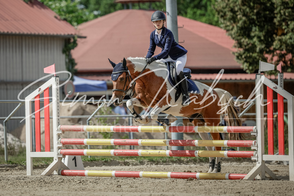 20250906-_3LI6120 | Tierfotografie Pferde, Hunde, Katzen, Haustiere.
Turnierfotografie Reitturniere, Reiten, Springreiten, Dressur in Hanau, dem Main-Kinzig-Kreis und dem Rhein-Main- Gebiet um Frankfurt
