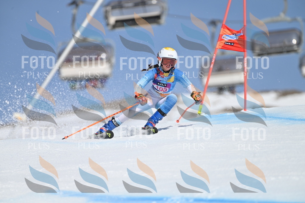 BGV_9507 | holidayphoto