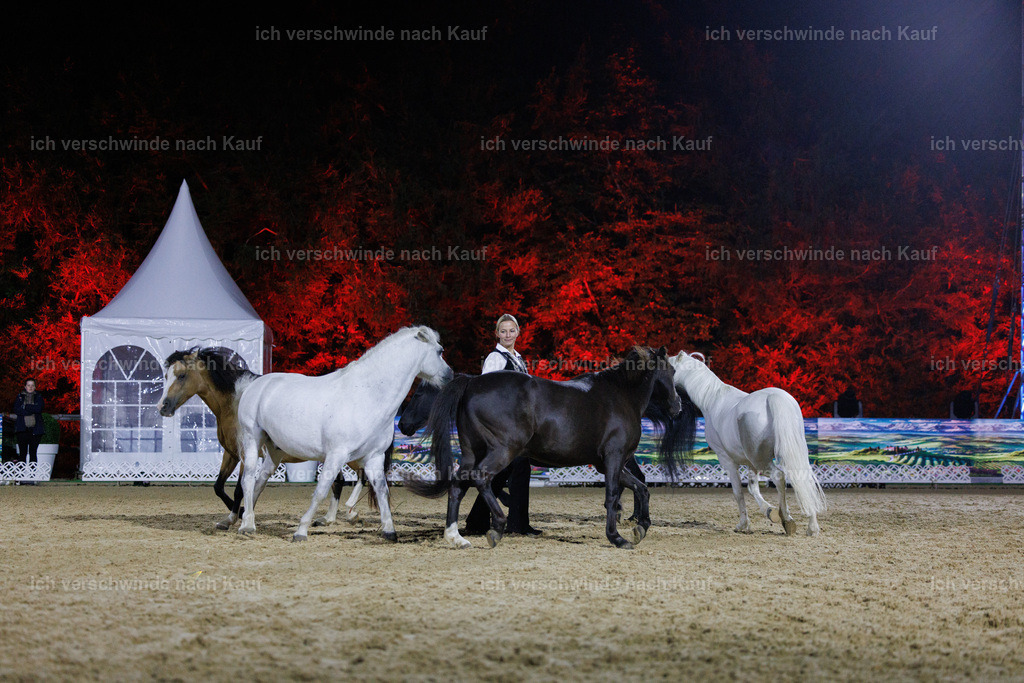 FHClassics-257 | working equitationturnier fotograf videograf stoibphotography marixx film working equitation deutschland reitsport turnierfotografie eventfotografie equestrian events