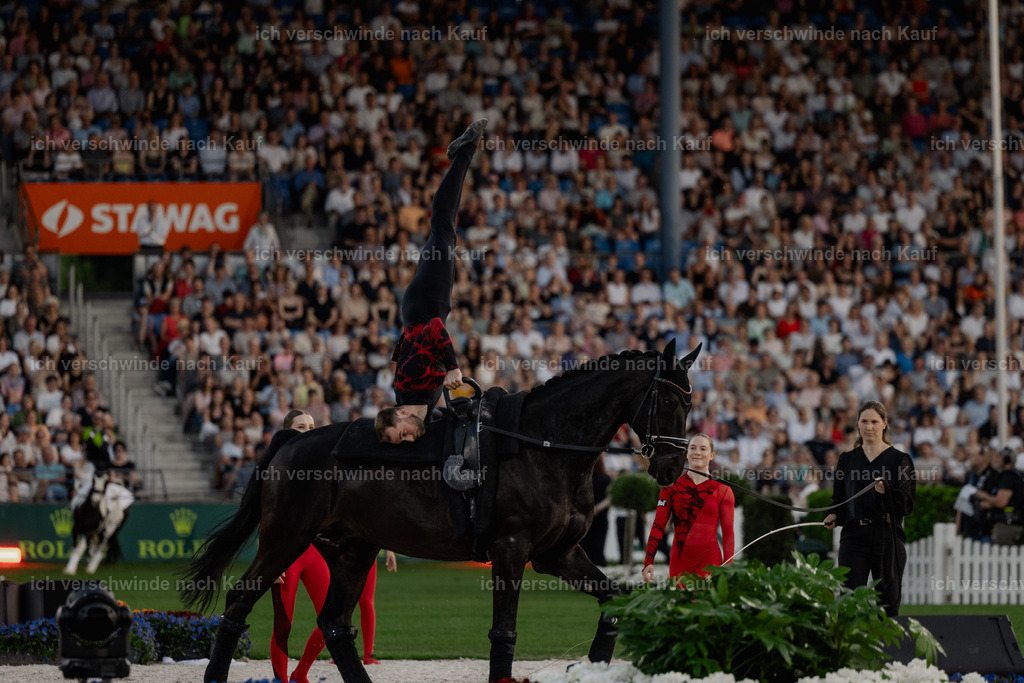 TSCHIO26_PferdundSinfonie_StoibphotographyTSCHIO26_Pferd-Sinfonie_Stoibphotography_AM10906.CR3.jpg | working equitationturnier fotograf videograf stoibphotography marixx film working equitation deutschland reitsport turnierfotografie eventfotografie equestrian events