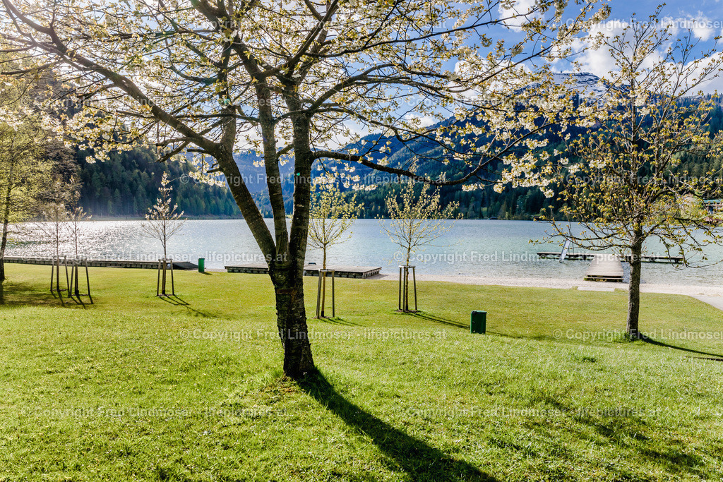 Erlaufsee Abend 09052019--2 | Fotos und Fotoprodukte - Realisiert mit Pictrs.com