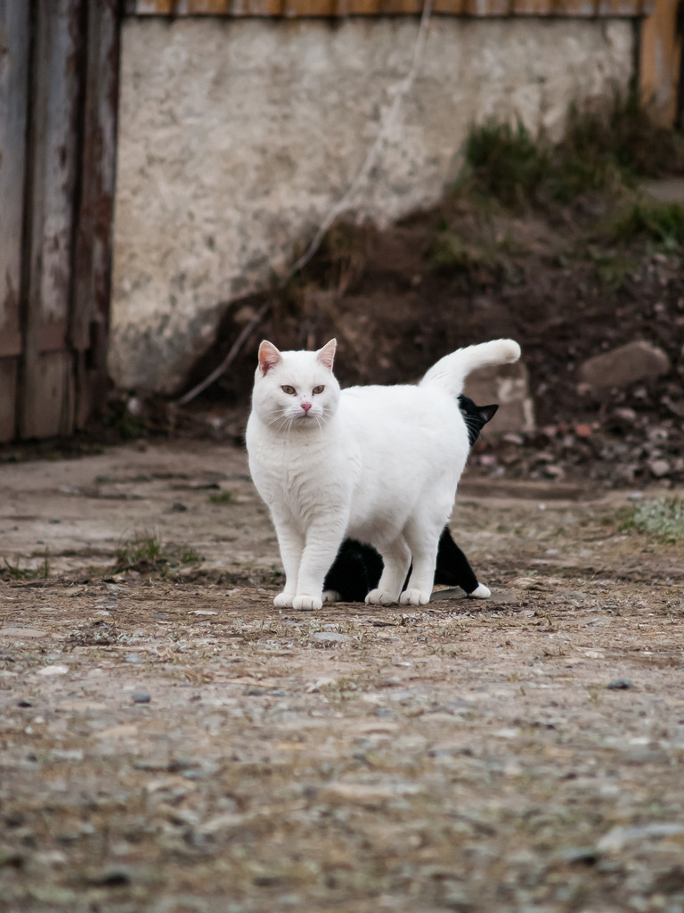 PSX_20230116_224726 | OLYMPUS DIGITAL CAMERA - Realisiert mit Pictrs.com