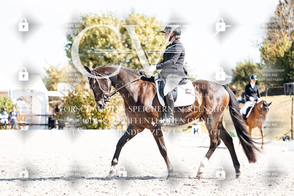 CK903614 | Turnierfotografie Pferdefotografie Trier Rheinland-Pfalz Pferdesport Reitsport Tierfotografie Sportfotografie Pferdevideo Pferdevideografie Equestrianvideography equestrianphotography  - Realisiert mit Pictrs.com