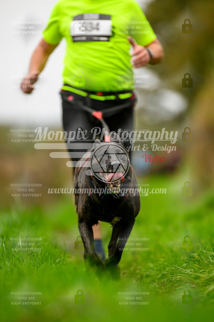 MompixPhotography_20TSB_E8_Run-34 | PayLife