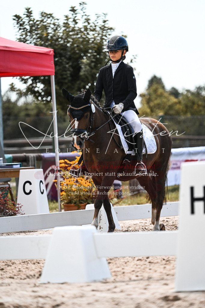 DSC_5705 | Pferde- und Turnierfotografie in Westsachsen. Pferdeportraits, Auftragszeichnungen und intuitive Kunst.