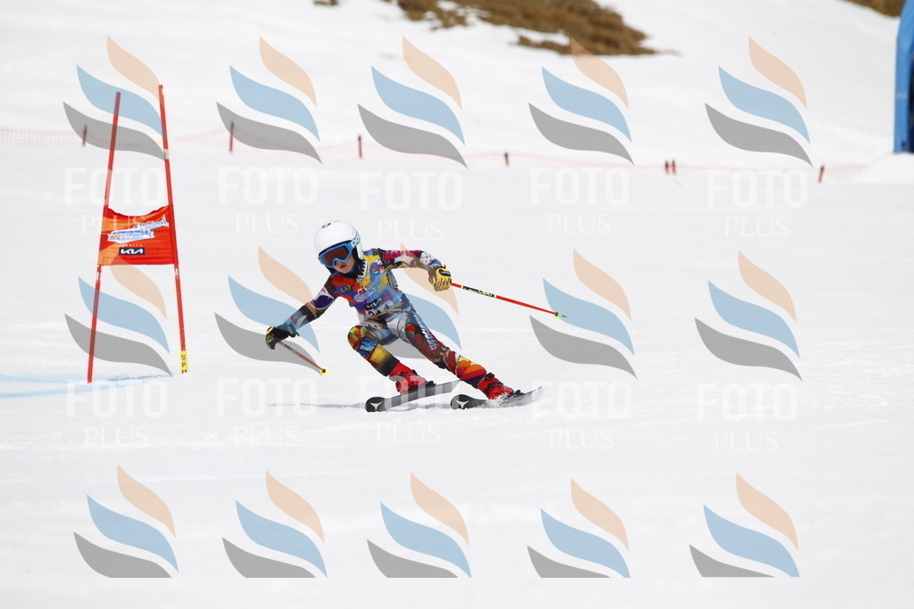 _U3G7725 | holidayphoto